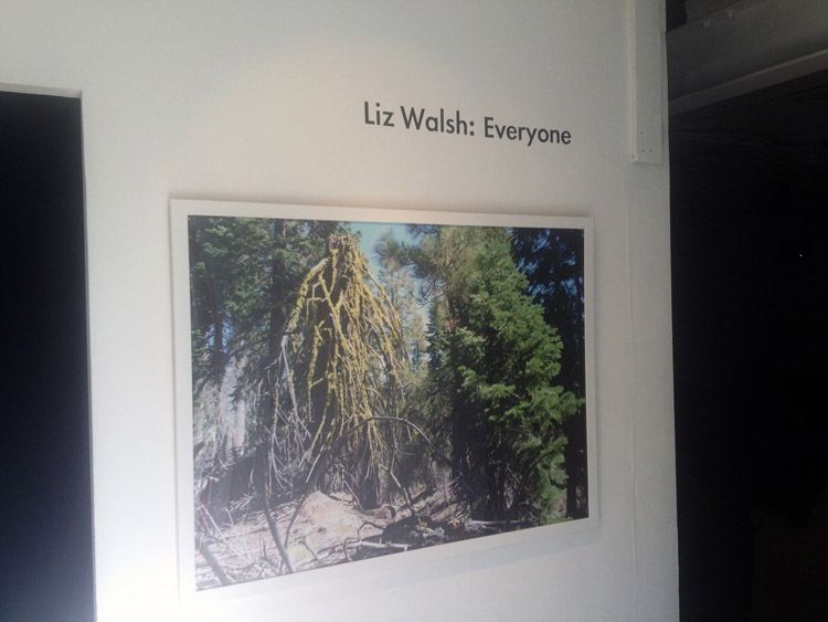 Liz Walsh Installation Views
