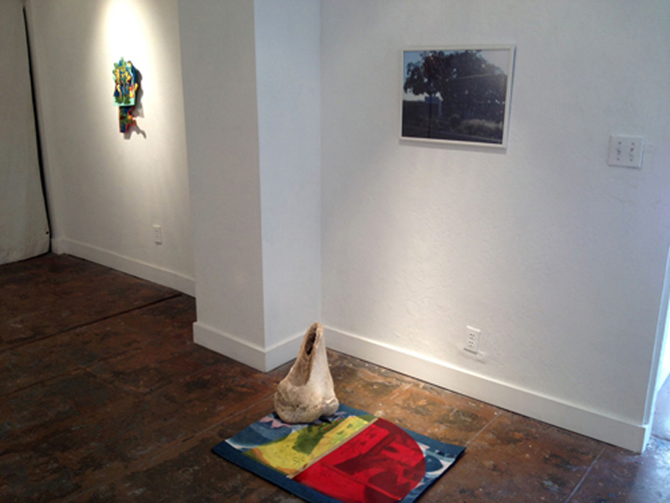 Liz Walsh Installation Views