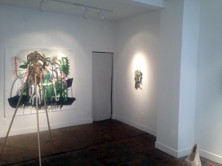 Liz Walsh Installation Views